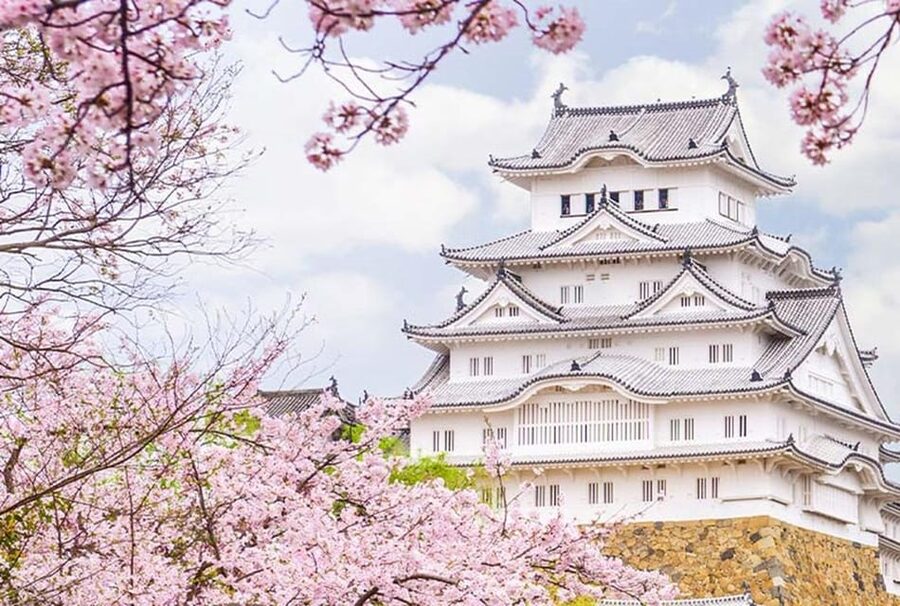 From Osaka: Himeji Castle, Arima Onsen & Mt. Rokko Day Tour - Why Himeji Castle deserves the long ride from Osaka