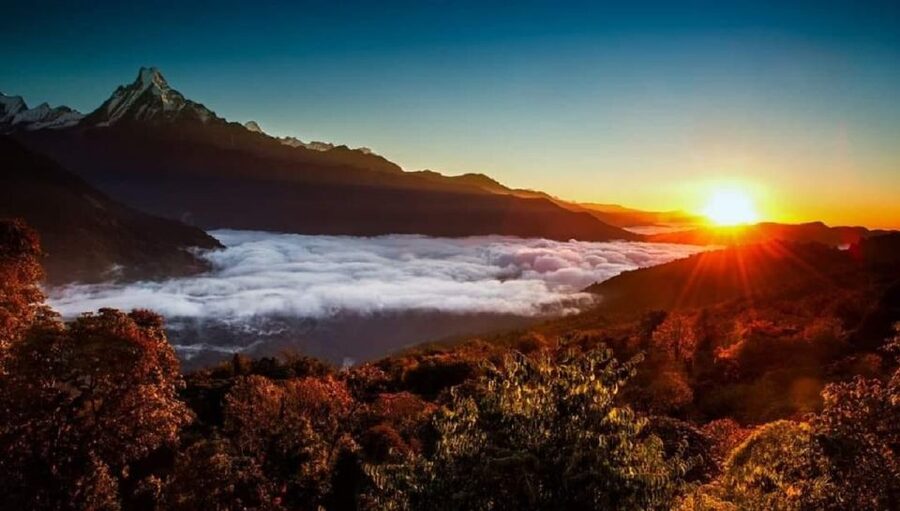 From Pokhara: 5-Day Annapurna Basecamp Trek with Hot Springs - The five things that matter most
