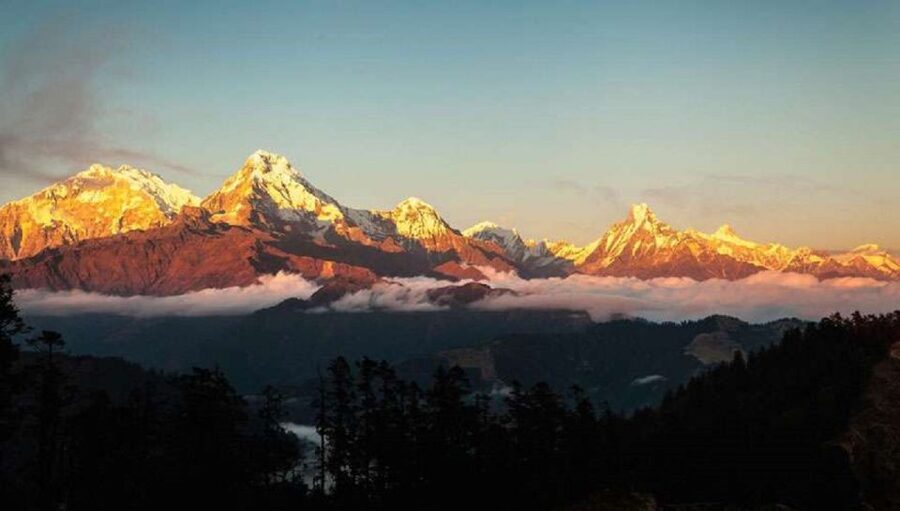 From Pokhara: 5-Day Annapurna Basecamp Trek with Hot Springs - Sinuwa to Deurali through bamboo and rhododendron