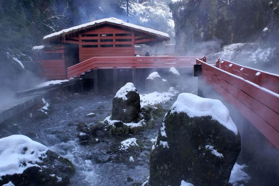 From Pucón: Geometric Hot Springs - Who should book this day trip?