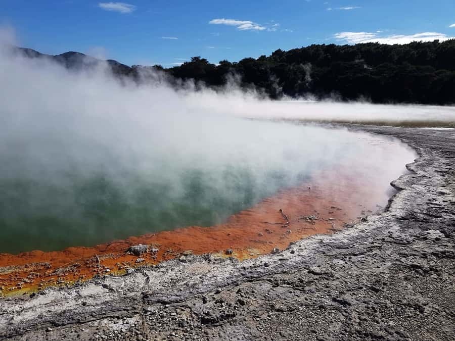 From Rotorua: Wai O Tapu & Waimangu Eco Thermal Morning Tour - Why this Rotorua tour works so well