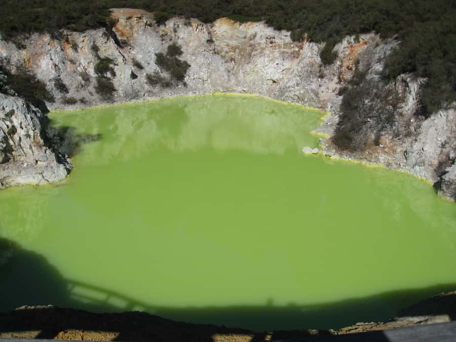 From Rotorua: Wai O Tapu & Waimangu Eco Thermal Morning Tour - The early pickup from central Rotorua