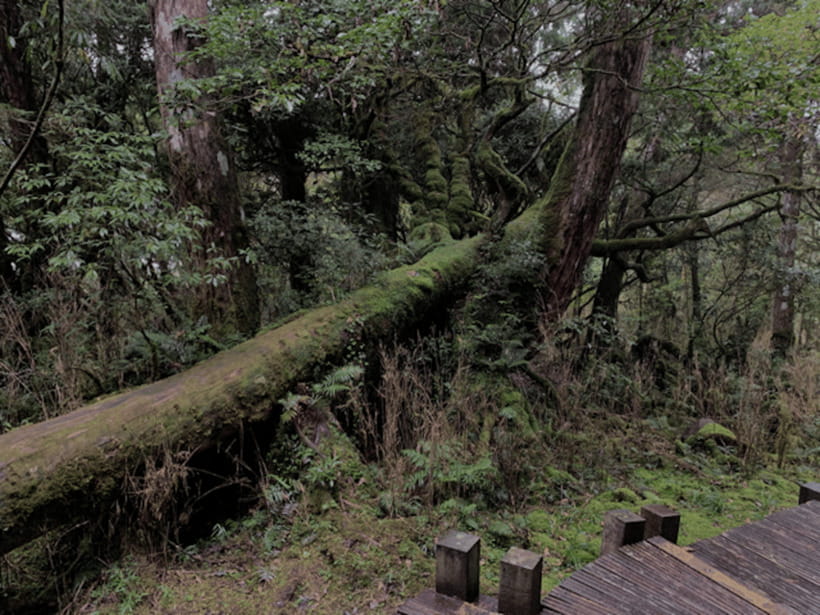 From Taipei: Taipingshan & Jiuzhize Hot Spring Private Tour - Jiuzhize Hot Spring and the practical bathing choice