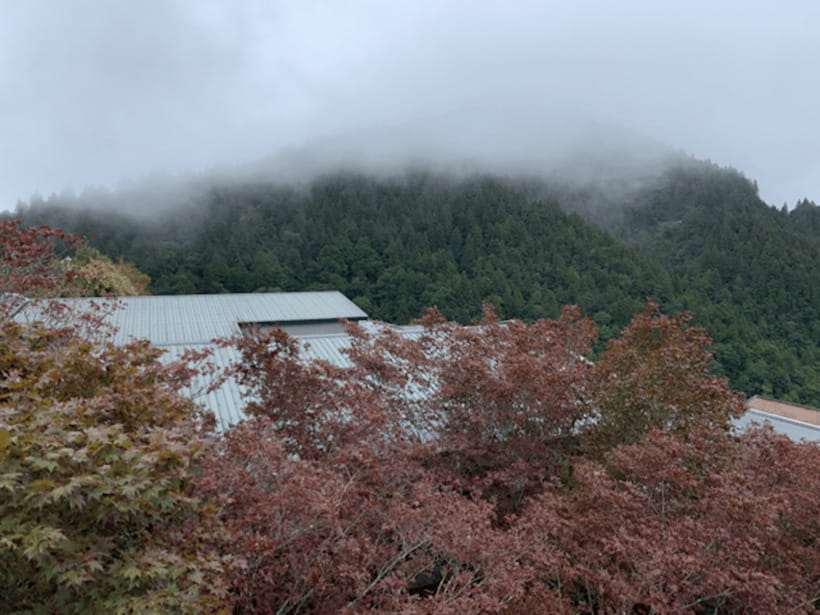 From Taipei: Taipingshan & Jiuzhize Hot Spring Private Tour - Two hours among Taipingshan’s conifers