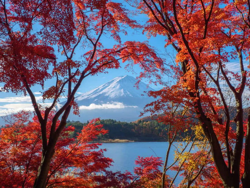 From Tokyo: Private Motorcycle Tour - Fuji, Hakone, Onsen - Returning to Tokyo Over Two Wheels