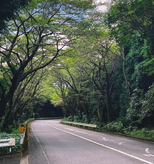 From Tokyo: Private Tour to Fuji/Hakone - Onsen, Art, Nature - Why this private escape from Tokyo works