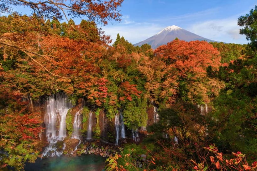 From Tokyo: Private Tour to Fuji/Hakone - Onsen, Art, Nature - Art in Hakone: open-air sculpture and museum time