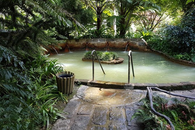 Full-Day Furnas Tour: Hot Springs, Traditional Lunch & Tea - Visiting Gorreana Tea Factory