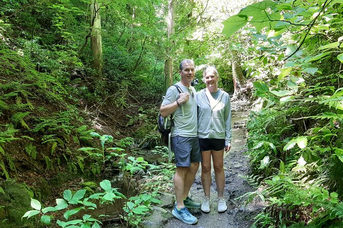 Full Day Hiking Tour at Mt.Takao including Hot Spring - Why Mt. Takao makes a good break from Tokyo