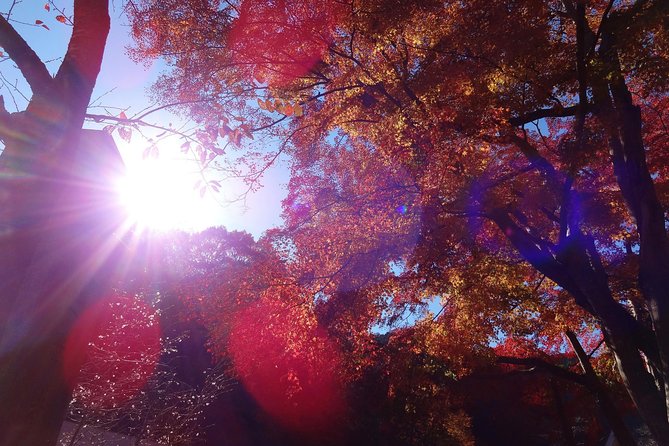 Full Day Hiking Tour at Mt.Takao including Hot Spring - Meeting your guide at Takaosanguchi Station