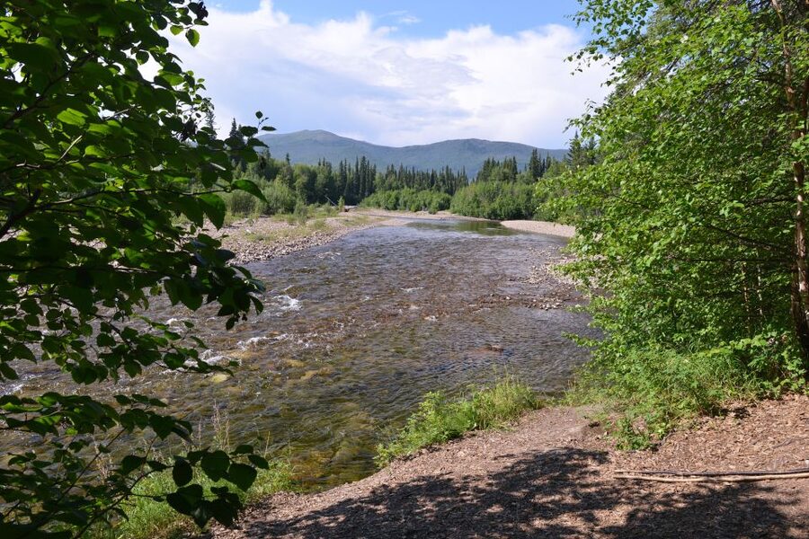 Full Day Ice Museum and Chena Hot Springs Tour - Soaking in the outside rock lake pool