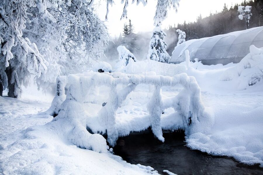 Full Day Ice Museum and Chena Hot Springs Tour - Who should book this Fairbanks day trip?