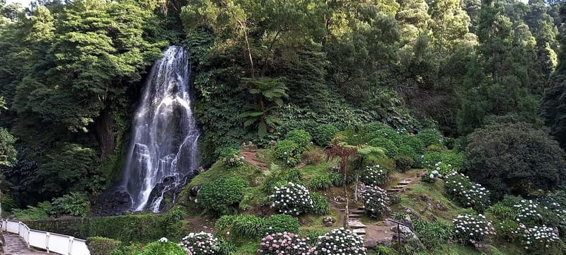Furnas: Hot Springs, Crater Lake & Geothermal Wonders - Gorreana and the taste of São Miguel tea