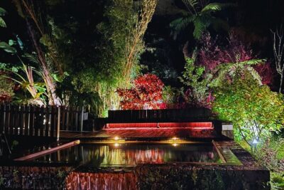 Furnas: Mystic Tour (w/Dinner) – Hot Springs