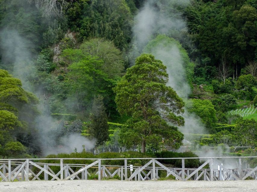 Furnas: Thermal Springs & Tea Plantation Day Tour with Lunch - The day at a glance