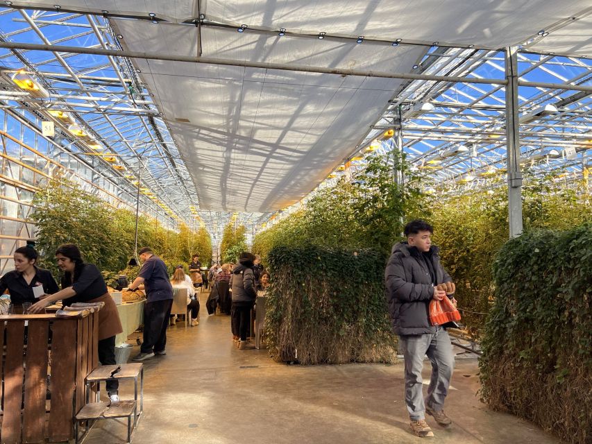 Golden circle, hot spring bakery, tomato farm private tour - The private format and what you are paying for
