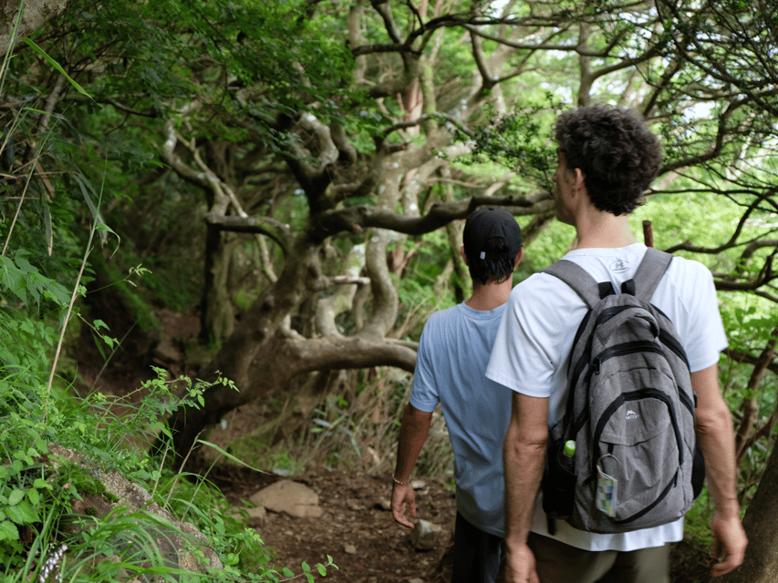 Hakone: Traverse the Hakone Caldera and Enjoy Onsen - Who should book this Hakone hike