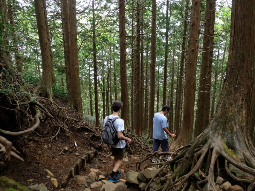Hakone: Traverse the Hakone Caldera and Enjoy Onsen - The caldera rim delivers the main reward