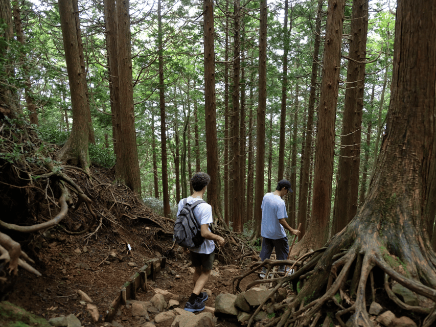 Hakone: Traverse the Hakone Caldera and Enjoy Onsen - The onsen is more than a footnote