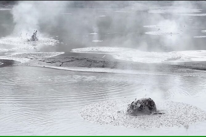 Half-Day Tour - Ex Rotorua: WAI-O-TAPU Thermal Wonderland - Lady Knox Geyser’s timed eruption