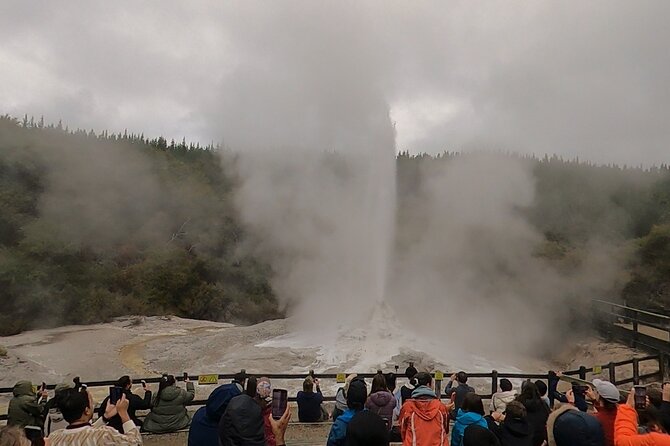 Half-Day Tour - Ex Rotorua: WAI-O-TAPU Thermal Wonderland - The Mud Pool, where the ground keeps moving