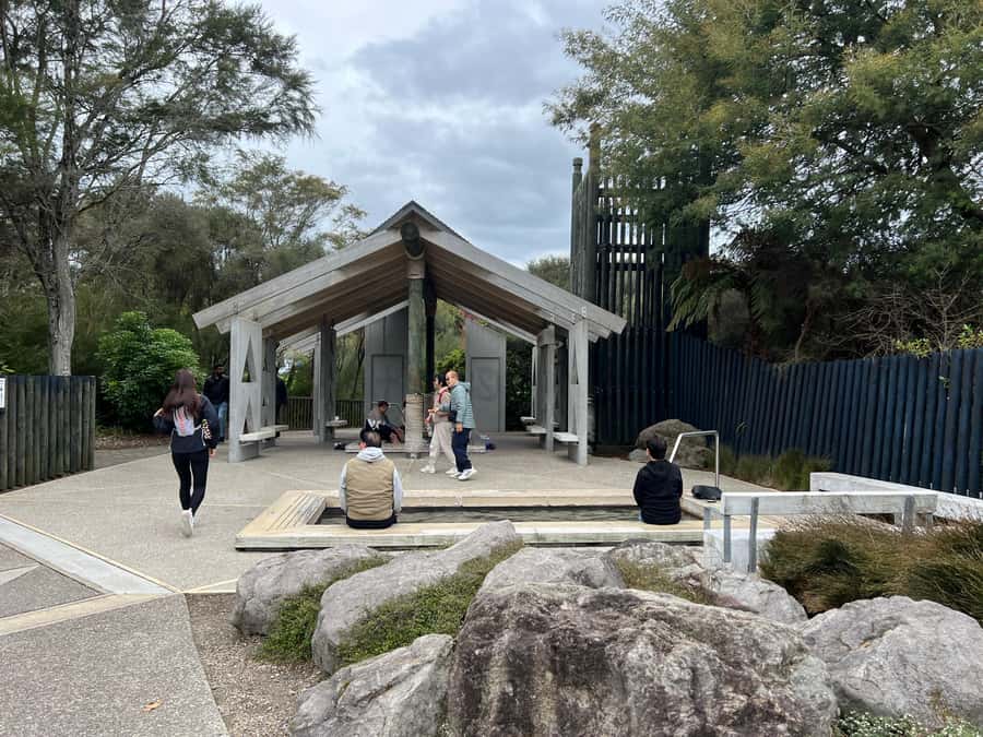 Half-Day Tour - Ex Rotorua: WAI-O-TAPU Thermal Wonderland - Who will enjoy this tour most