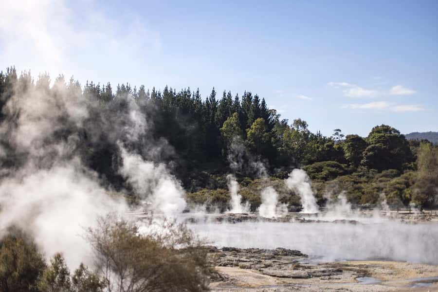 HELL'S GATE Mud Spa, Rotorua - Group Day Tour Ex Auckland - Leaving Auckland before breakfast