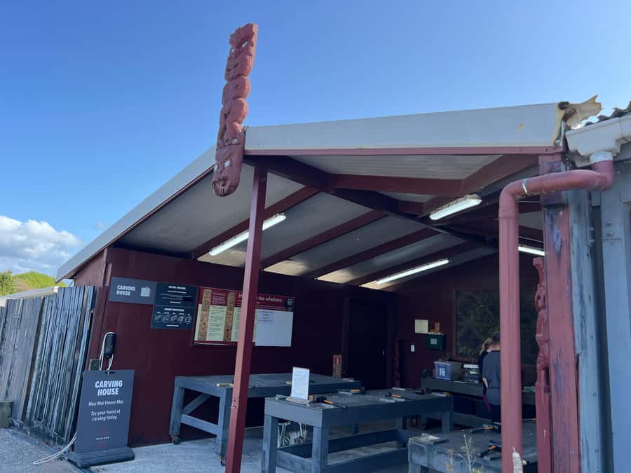 HELL'S GATE Mud Spa, Rotorua - Group Day Tour Ex Auckland - The mud bath is short but memorable