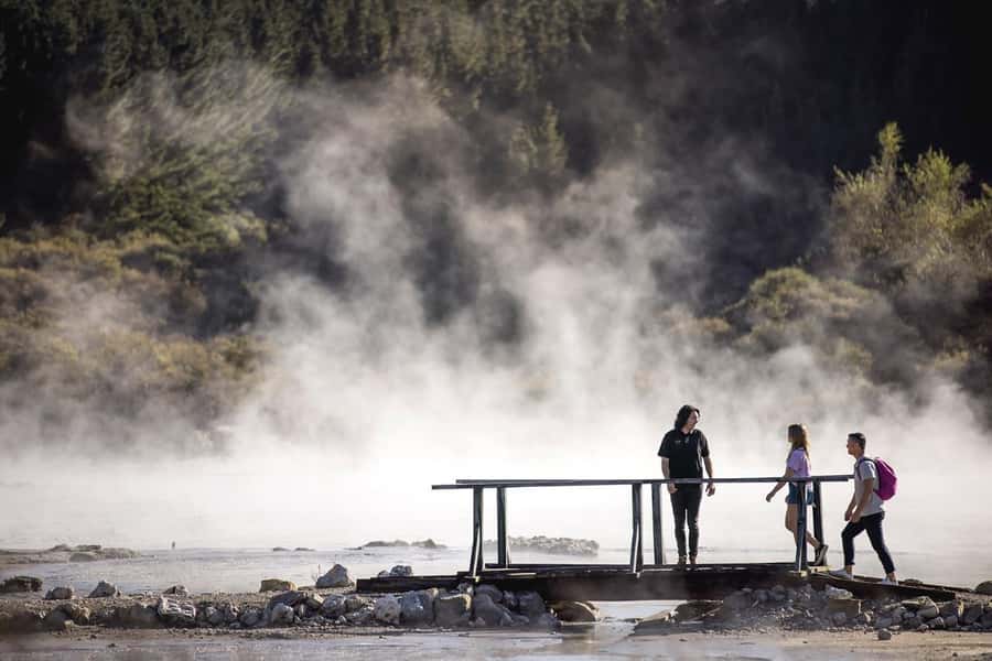 HELL'S GATE Mud Spa, Rotorua - Group Day Tour Ex Auckland - Lunch requires a little planning