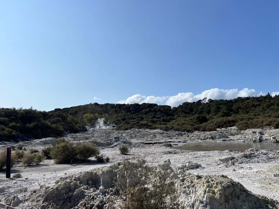 HELL'S GATE Mud Spa, Rotorua - Group Day Tour Ex Auckland - A short Rotorua driving tour fills out the afternoon
