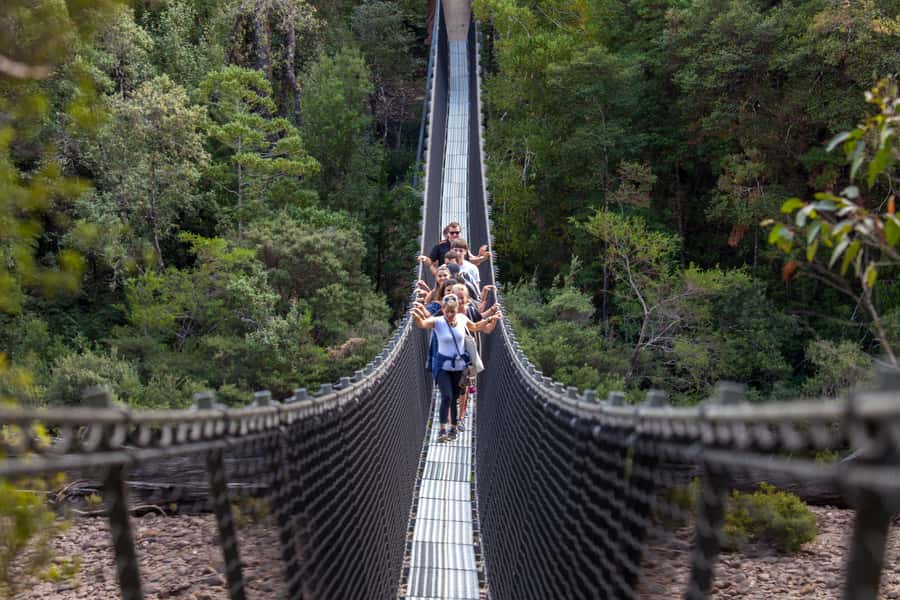 Hobart: Tahune Airwalk, Hastings Cave, Thermal Springs Tour - Two swinging bridges, or the gentler Huon Pine Walk