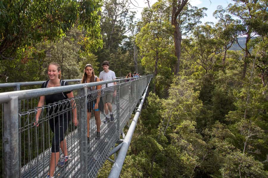 Hobart: Tahune Airwalk, Hastings Cave, Thermal Springs Tour - Hastings Caves and the 9°C underground world