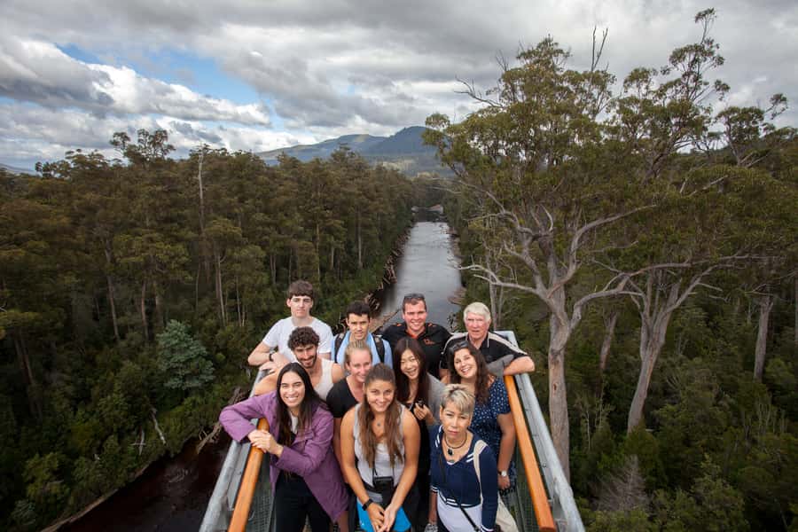 Hobart: Tahune Airwalk, Hastings Cave, Thermal Springs Tour - How the $145 price works out