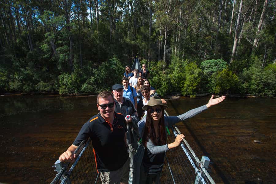 Hobart: Tahune Airwalk, Hastings Cave, Thermal Springs Tour - What the day feels like in practice