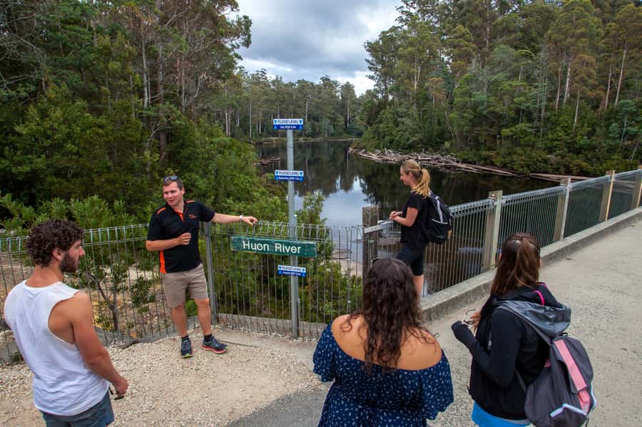 Hobart: Tahune Airwalk, Hastings Cave, Thermal Springs Tour - FAQ