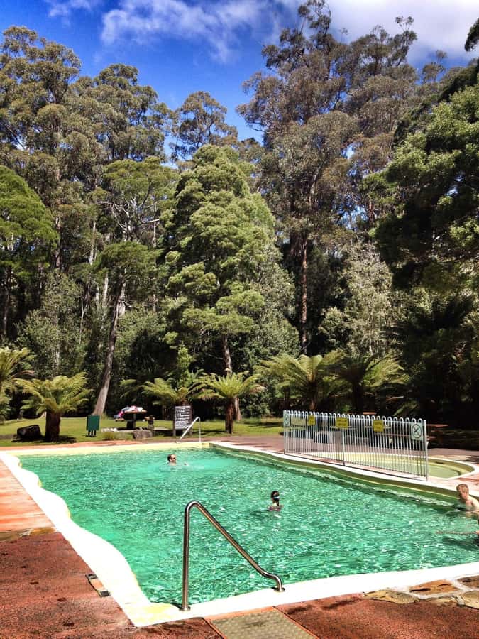 Hobart: Tahune Airwalk, Hastings Cave, Thermal Springs Tour - Tahune Airwalk and the 619-metre treetop route