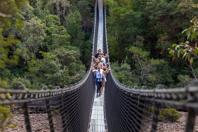 Hobart: Tahune Airwalk, Hastings Caves & Thermal Springs Pool - Tahune Airwalk: forest views from 40 metres up