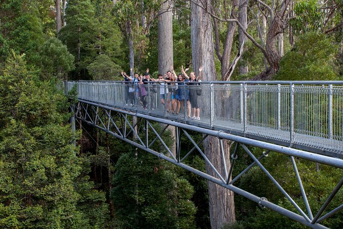 Hobart: Tahune Airwalk, Hastings Caves & Thermal Springs Pool - The thermal springs, pool, and short nature walks