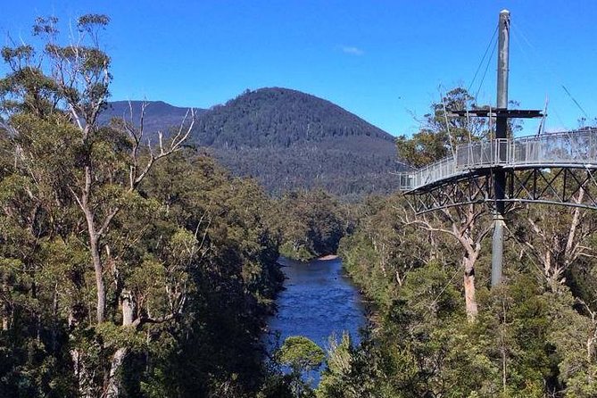 Hobart: Tahune Airwalk, Hastings Caves & Thermal Springs Pool - Is $147.03 good value?