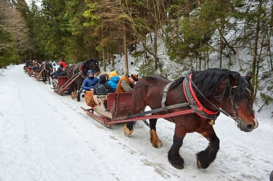 Horse Sleigh 2-3h Ride with Hot Springs or Zakopane Combos - Krupowki Street, shopping, and the Zakopane feel