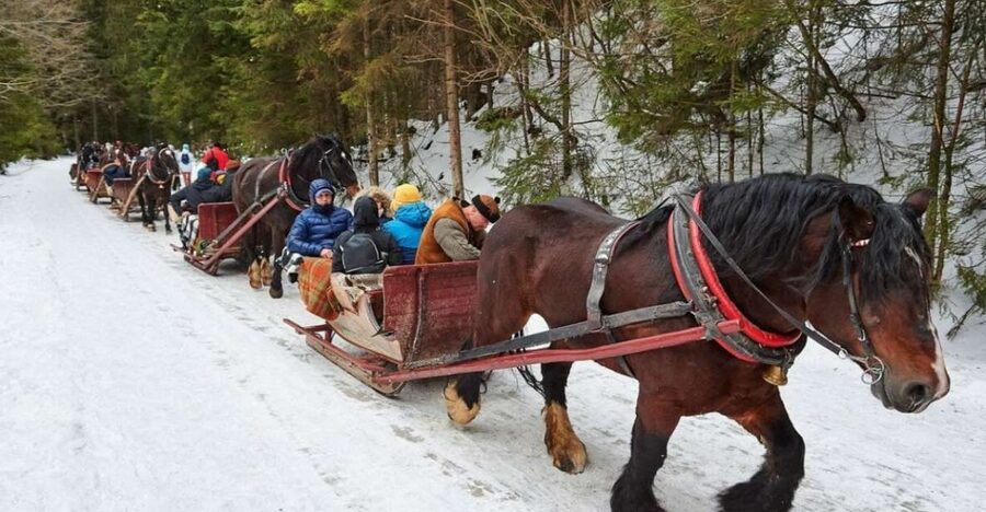 Horse Sleigh 2-3h Ride with Hot Springs or Zakopane Combos - Chocholow village and the old wooden chapels
