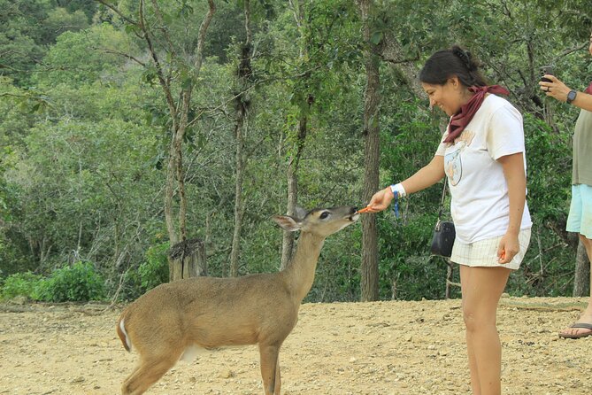 Hot Springs and Villages in the Sierra Madre for 4 hours - Los Llanitos and the mountain villages