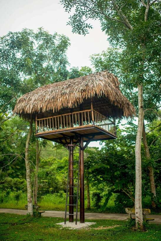 Hue: Full-day Nature’s Bliss From Hot Springs To Zip Line - What the $77 price covers