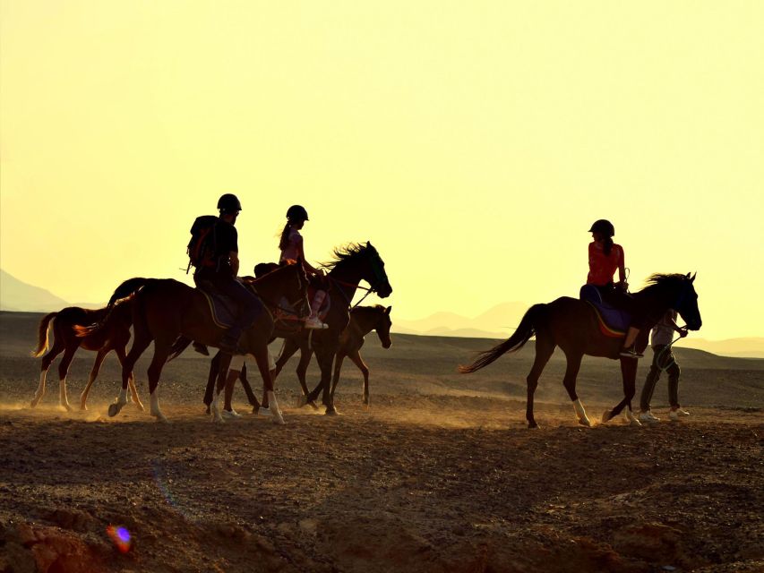 Hurghada: 4 Days Tour Horse, Camel, Spa, ATV, Jeep & Dolphin - Four days that cover Hurghada’s big draws