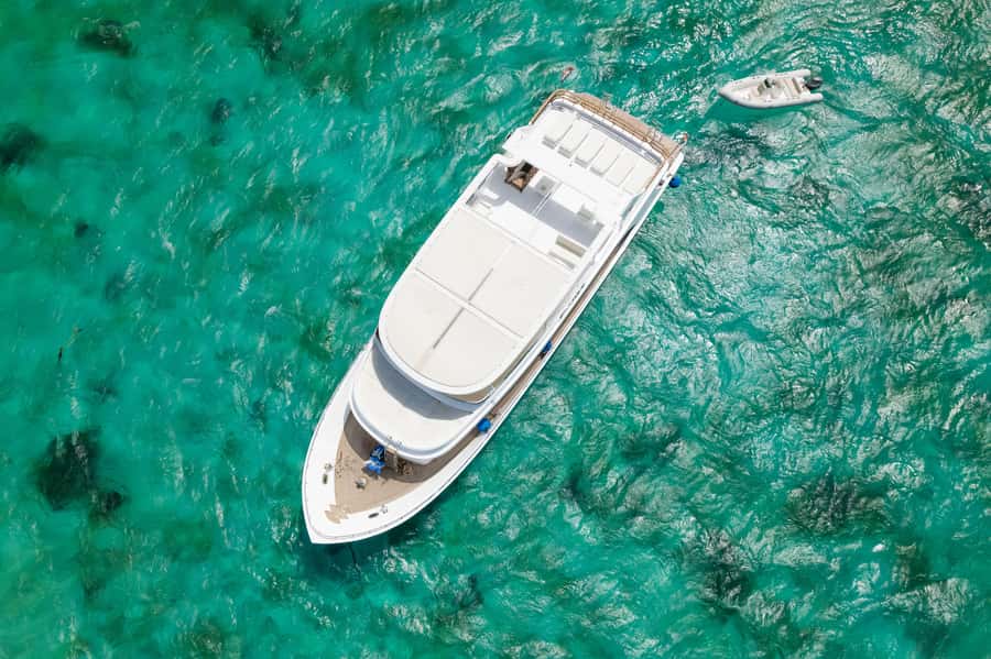 Hurghada: All-Inclusive Elite VIP Dolphin House & Massage - Buffet lunch with sea views