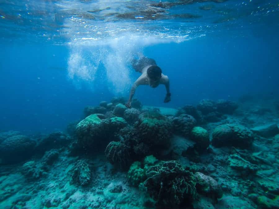 Hurghada:Luxury Diving & Snorkeling inc/Island/Lunch/Massage - Why this Red Sea day works so well