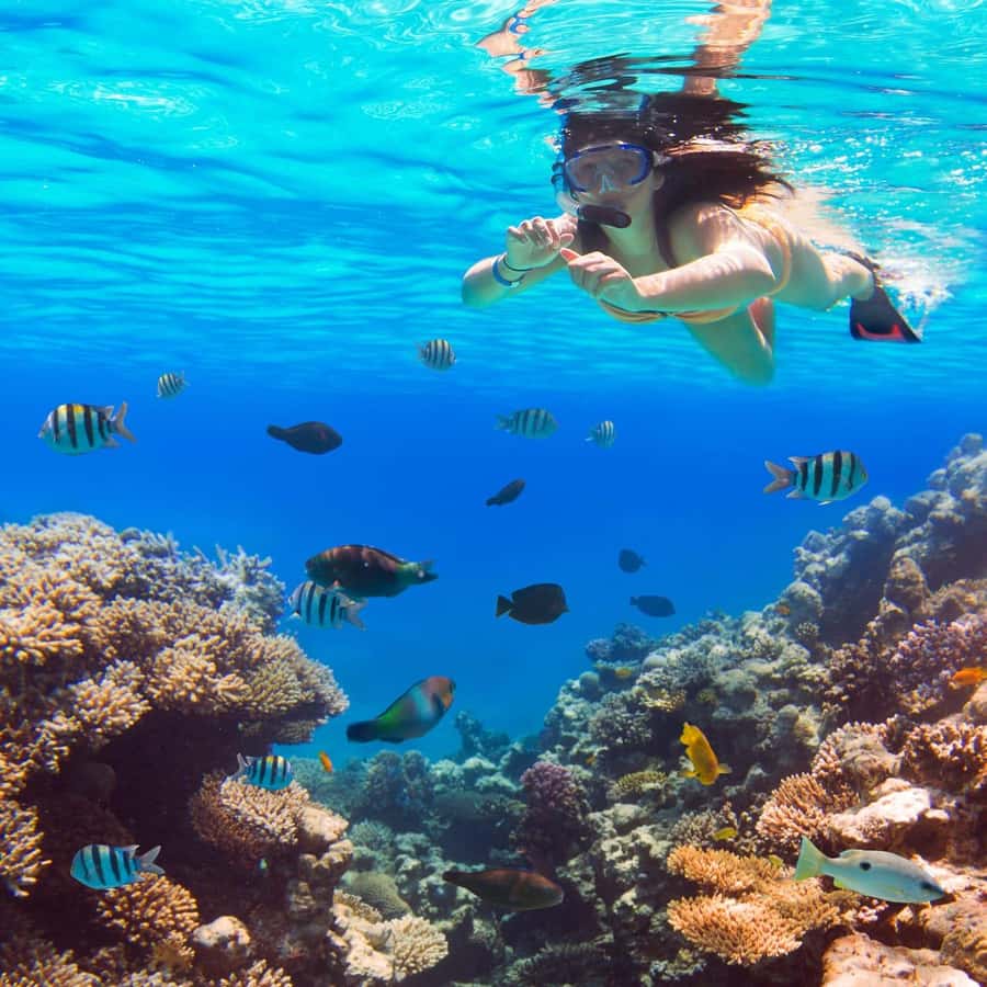 Hurghada:Luxury Diving & Snorkeling inc/Island/Lunch/Massage - Orange Bay, beautiful but not secluded