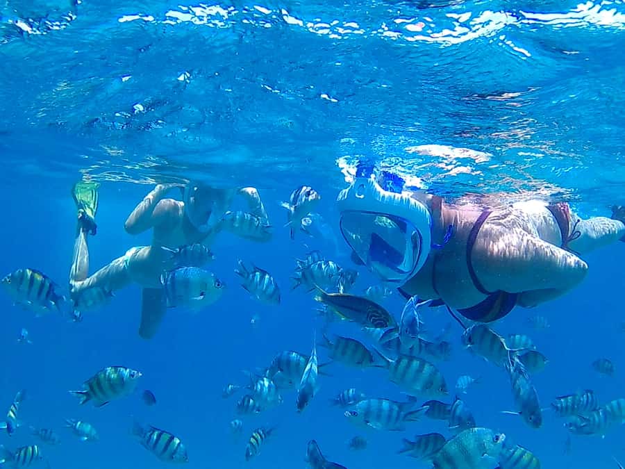 Hurghada: Luxury Giftun island w/snorkeling/lunch & Massage - The day at a glance