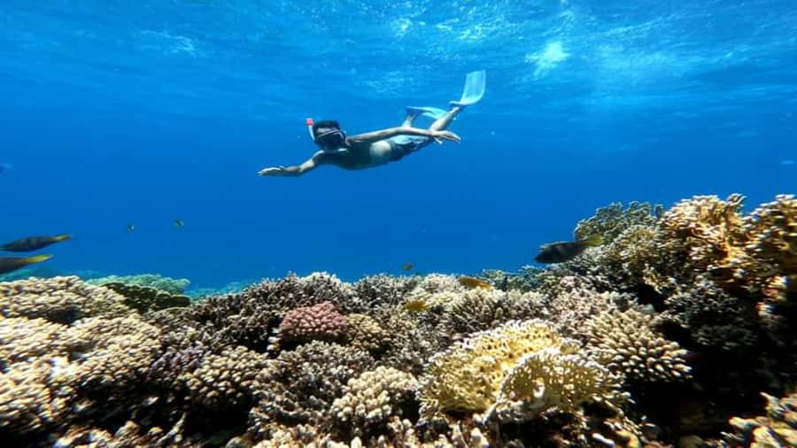 Hurghada: Luxury Giftun island w/snorkeling/lunch & Massage - Swimming, banana boat fun, and quiet time