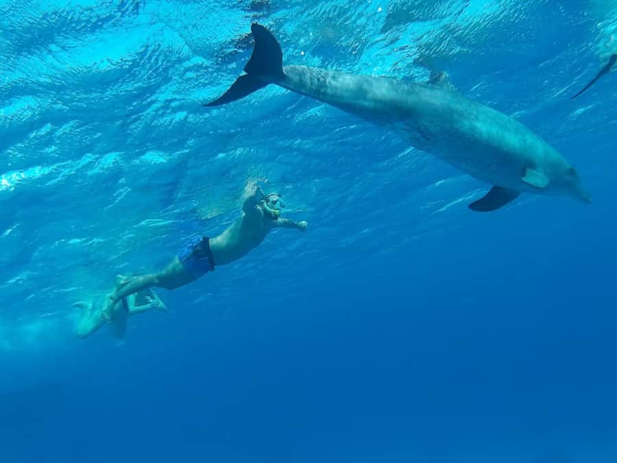 Hurghada: Royal Orange Bay with Massage, Snorkeling & Lunch - How the 510-minute schedule feels